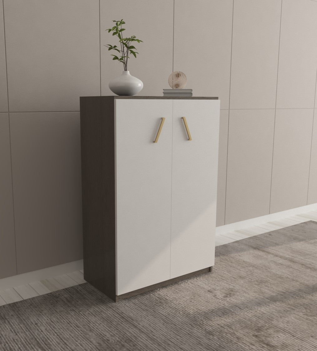 0002-Standard Shoes cabinet